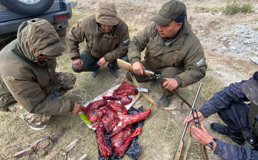 На Иссык-Куле задержали браконьера с тушей козерога - фото