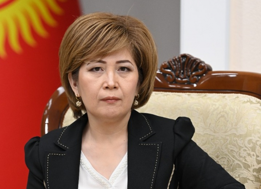 Жыпариса Рысбекова: В Кыргызстане насилие в отношении детей принимает более жестокий характер