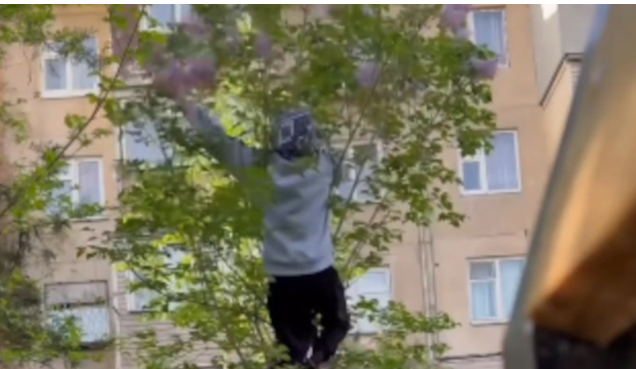 Мужчина сорвал сирень в Бишкеке и попал на 5500 сомов