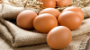 Минсельхоз предлагает на полгода ввести запрет на ввоз куриных яиц в Кыргызстан